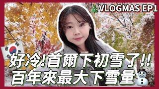 首爾VLOGMAS EP1｜首爾下初雪啦️帶台灣家人玩韓國、聖水餐廳推薦！韓國一人烤肉！韓國醫美推薦｜台灣人在韓國 #韓國旅遊 #韓國vlog ｜紹紹 Soy Daily