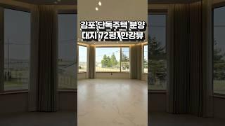 [김포 단독주택 분양] 귀한 김포 택지내 단독주택입니다~ 사이즈, 개방감도 좋고 세대분리 가능?!!   Ep.2  #shorts #김포단독주택 #한강뷰 #김포타운하우스