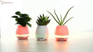 Smart Plant Pot™ Singing Flower Pot with LED Light