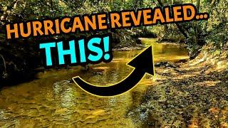 I FINALLY Went Back... My BEST Treasure Creek Was SLAMMED By Flooding! | What Did I Find?!