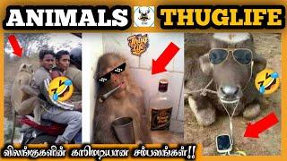 Animals Thuglife | விலங்குகளின் காமெடியான சம்பவங்கள் | Animals | Thug Life | NIAN THUG LIFE