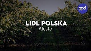 Alesto - LIDL POLSKA - GPD Agency