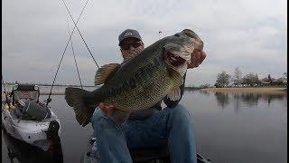 TOP 3 GIANT BASS CAUGHT ON CAMERA(compilation)