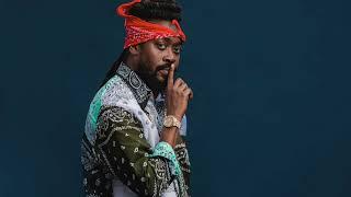 Beenie Man - Diss Any Pussy Mr. DC Riddim (Remix)