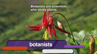 Real World Science: Seeds & Plants (Accessible Preview)