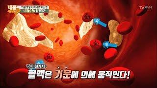 보양식 제대로 먹으려면 기혈순환을 잡아라! [내 몸 사용설명서] 161회 20170714