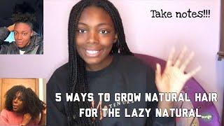 Grow Long healthy natural hair + pros and cons of mini braids vs mini twist