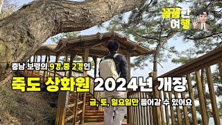 충남 보령 여행 죽도 상화원 2024년 개장했어요. 금, 토, 일요일만 들어갈 수 있는 곳! 9경 중 2경이에요.