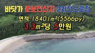 22-23[땅이야기 TV]#고흥군동일면바닷가#임야#준보전산지#투자#남향2차선도로접 면적18401m2(5566py) #고흥군바닷가토지