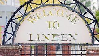 Columbus Neighborhoods: Linden