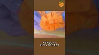 망고 특