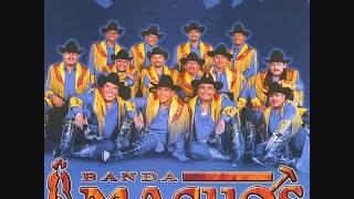 Rulex Dj - Las Movidas De Banda Machos