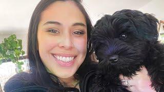 24 Hours w/ Me & My 3 Month Old PUPPY!