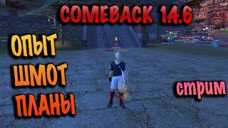 Шмот Заточка Планы на comeback pw 1.4.6 СТРИМ