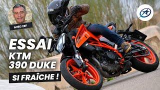 KTM 390 Duke - Essai (2024)