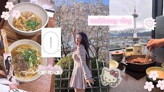 mukbang vlog  osaka & kyoto foods / japan sakura cherry blossom season, what I eat in a week