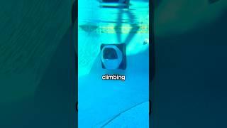 The World’s FIRST Smart Pool Cleaner - Dreame Z1 Pro!