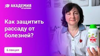 Как защитить рассаду от болезней