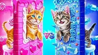 Мы построили секретную комнату для животных! Хорошая мама vs плохая мама