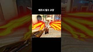 오버워치 메르시 강의 필수 교양