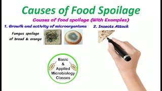 Causes of food spoilage | Animated clip with pictorial examples |