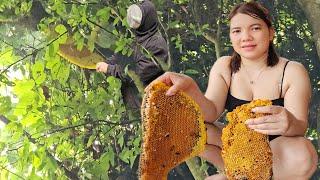 The girl challenged herself to climb a tree to catch wild bees.