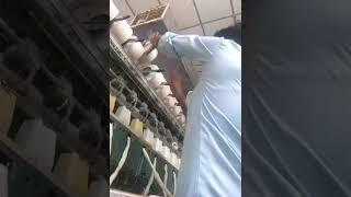 Vikash. Kumar. 2(2)
