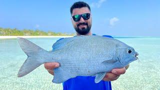 We Secretly Caught Fish from the Balcony of the Hotel Room!!