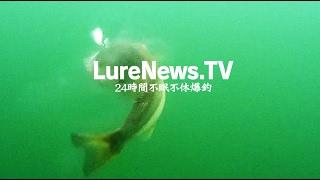 LureNews.TV（ルアーニュースTV）