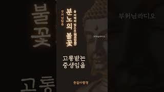 분노의 불꽃을 지혜의 빛으로(瞋恚智慧) | 부처님말씀 | 석가모니명언 | 인생지혜 | 명상의말씀
