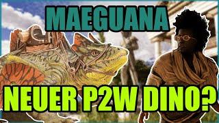 Maeguana Fullguide | Hat es Wildcard wieder getan? | ASA