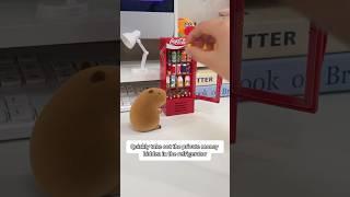 I actually picked it up....#capybara #creative #ornaments #cute #gift #funny #new #interesting