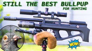 Stiil the Best Bullpup | FX Wildcat MK3 BT Compact | JSB 18.13gr Pellets | Farmyard Pest Control