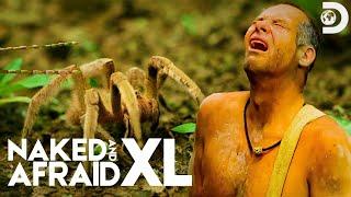 Surrounded by Massive Bugs and Spiders! | Naked and Afraid XL