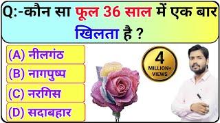 25 GK Interesting Questions With Answers l UPSC l Interview Questions | future Tak gk