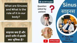 What are SINUS & their role in our body