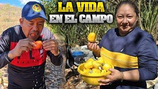 LA Vida en el CAMPO.En El Salvador.{los marañones.#motoaventuras