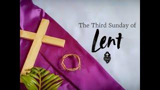 Fr. Pat's Reflections on the Third Sunday of Lent