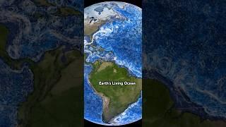 Earth’s Living Ocean – Currents in Motion  #NASAVisuals #StarGazer #earth #thediaryofastargazer