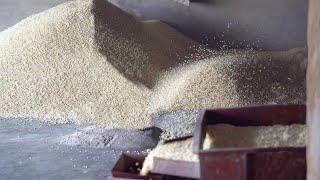 Puffed Rice Making Process In Bulk | Murri/Marmaralu Making Process |