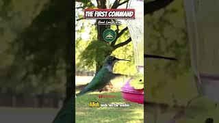  The First Command of Allah ﷻ Will Shock You | Most Muslims Forget This