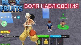 Как получить волю наблюдения?! Blox Fruits! Как прокачивать волю наблюдения в Блокс Фрутс?!