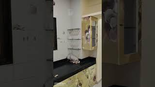 1 bhk flat for sale at pratibha nagar only at 29.90 Lac contact 9975207955