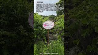 #비껴간맹세¹