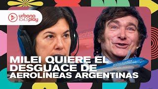 "Desguazar Aerolíneas Argentinas es más caro que seguir por este camino": Pablo Ceriani #DeAcáEnMás