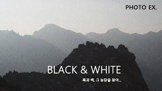 흑과 백으로 바라보는 세상 - BLACK&WHITE  [THEME] BLACK&WHITE