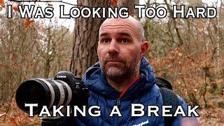 Landscape Photography - Freedom Day, Photography at Padley Gorge