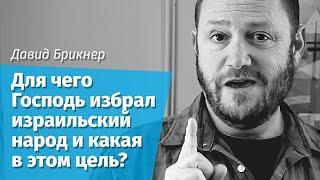 Давид Брикнер: Для чего Господь избрал израильский народ и какая в этом цель?