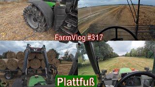 Farmvlog #317: Platten | 2. Schnitt | Hafer dreschen