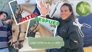 CÓMO ENTRESACAR la CRIN de un CABALLO 3 FORMAS